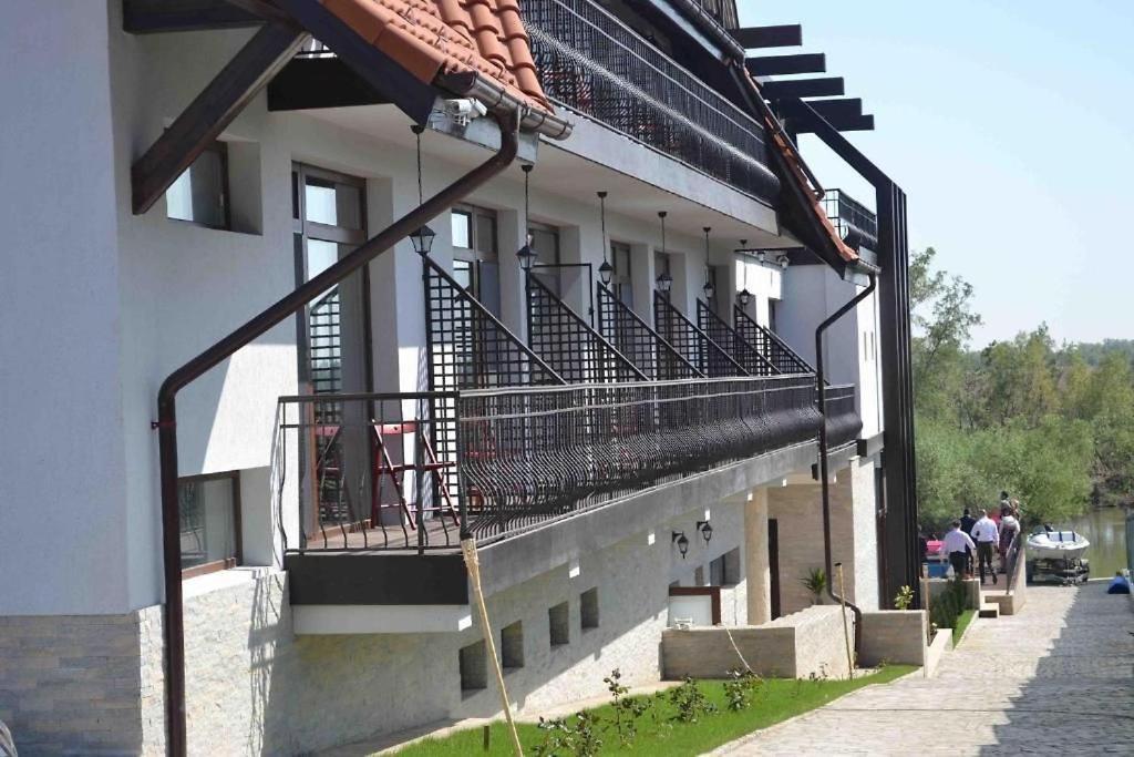 Pensiunea Delta Dreams Dunavăţu de Jos Bagian luar foto